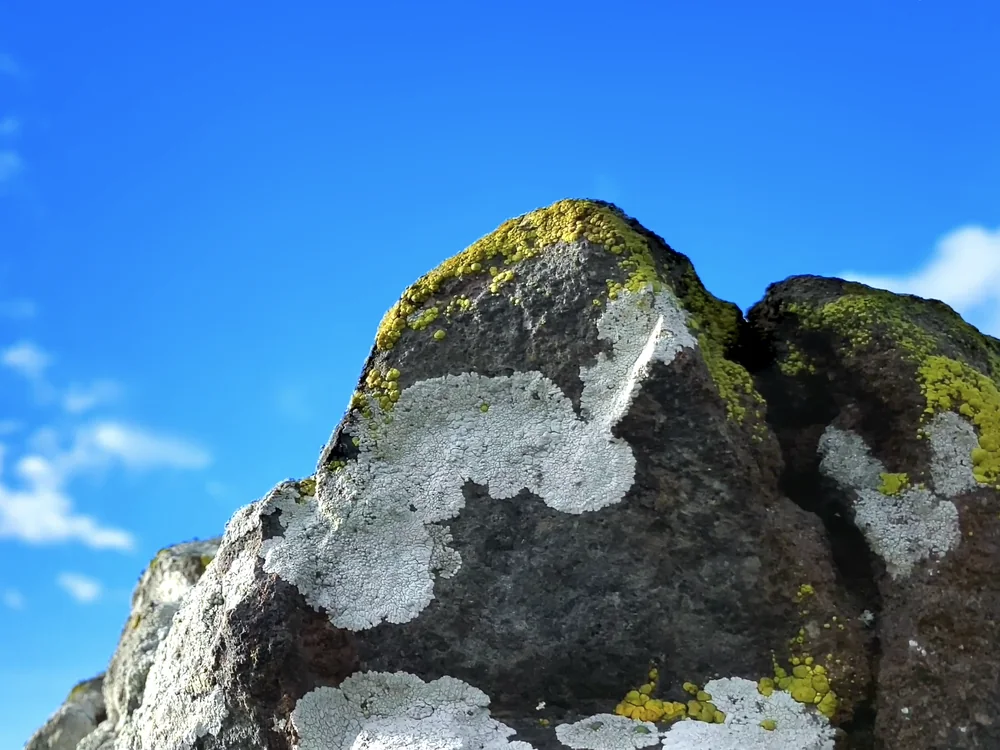Big Blue Sky, final color grade