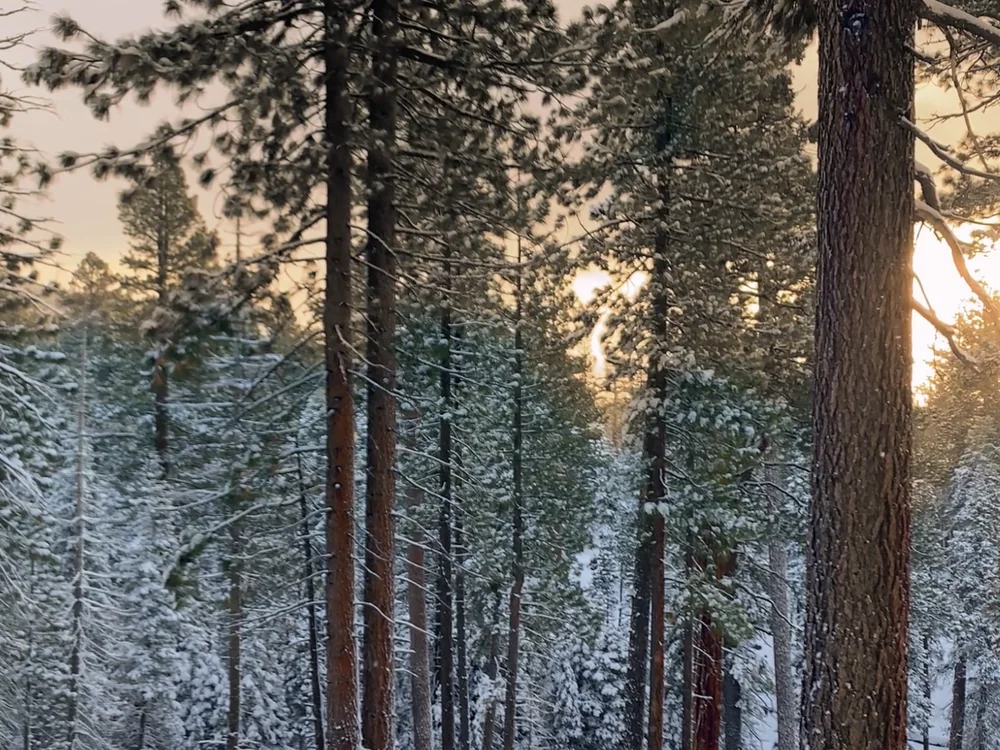 SnowFall Sunset, final color grade