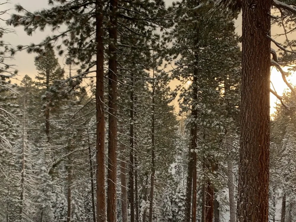 SnowFall Sunset, earlier color grade pass